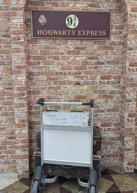 harry-potter.png