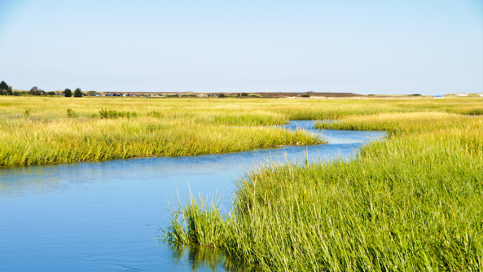 Foley Hoag Advises Pantheon Regeneration on Investment from AXA IM Alts to Scale Peatland Restoration Projects Page