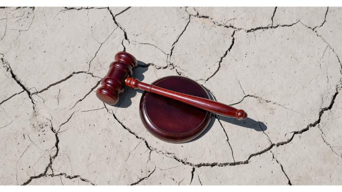 Nearing the End of the Line for State and Local Climate Litigation? Page