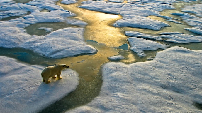 FWS and NMFS Propose to Eliminate Habitat Loss From the Definition of "Harm" Under the ESA: Is This the "Best Meaning" of the ESA?