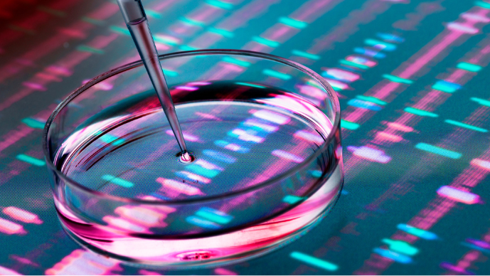 DeAnn Smith Comments on AI’s Impacts on Drug Patents in STAT Page
