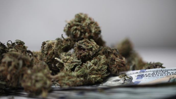 Bankruptcy Appellate Panel Blocks Cannabis Employee’s Chapter 13 Relief but Rejects Bright-Line Bar of Eligibility to be a Debtor in a Federal Bankruptcy Case Page