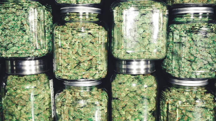 Governor Shapiro and Legislators Revive Push for Adult-Use Cannabis in Pennsylvania