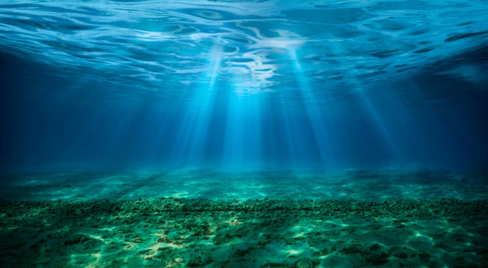 A Challenge to the Constitution for the Ocean? Understanding Trump’s Deep Sea Mining Executive Order  Page