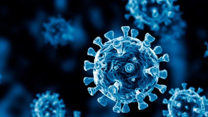 The COVID-19 Pandemic is Demonstrating the Value of Telehealth and Medicaid is Poised to Capitalize
