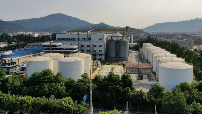 Regional Hydrogen Hubs: Getting Clean Hydrogen Where It Needs to Go