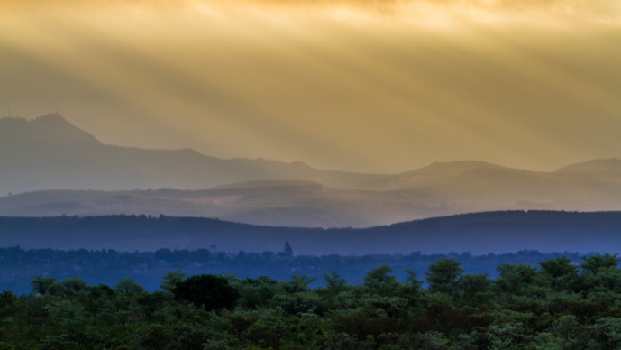 Foley Hoag Helps Rat-Friendly NGO Obtain Additional U.S. State Department Award for Mine Removal in Zimbabwe Page