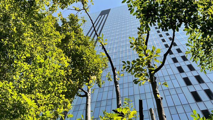 Noah Shaw Speaks to Law360 About Foley Hoag's Net-Zero Commitment Page