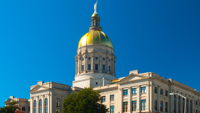 Georgia On Our Minds: Annotations Authored by Legislators Not Eligible for Copyright Protection Page