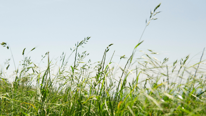 Community Engagement for Climate Resilience: What Is It and How Do You Do It Well? Page